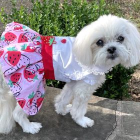 Strawberry Picnic Harness Dress with Matching Leash (size: X-Small)