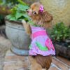 Watermelon Dog Dress.