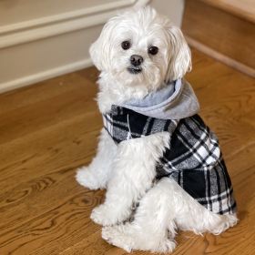 Weekender Dog Sweatshirt Hoodie Black & White Plaid Flannel (size: X-Small)